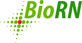 biorn-cluster-logo