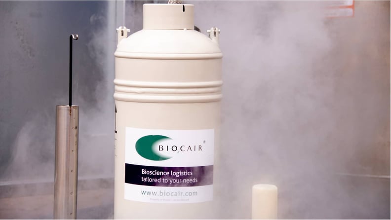 liquid nitrogen dry shipper from biocair