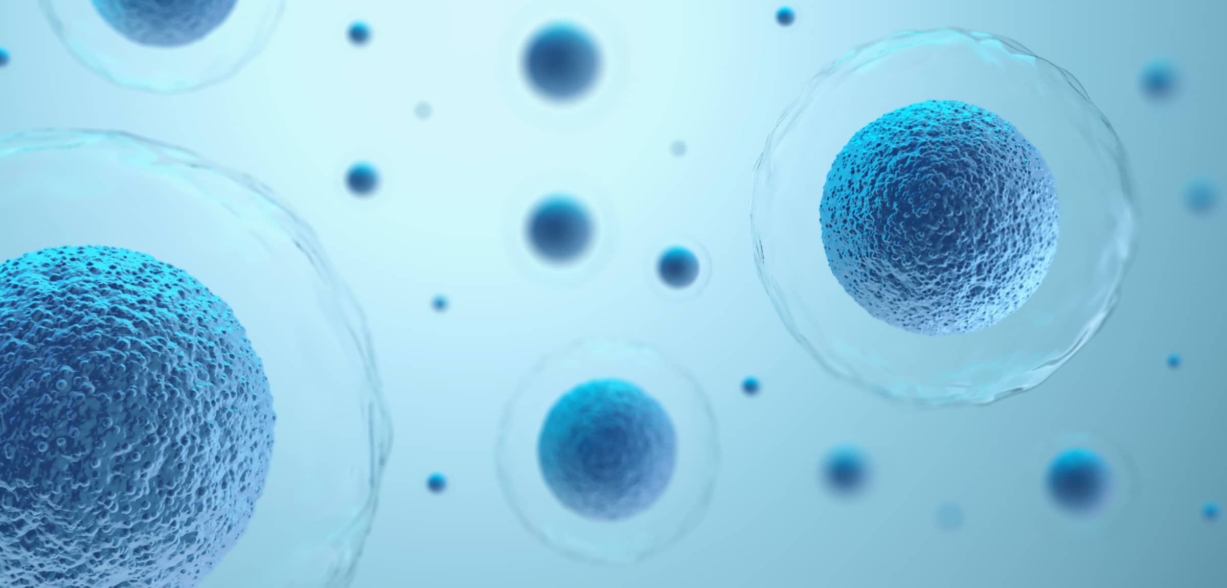 Cell Gene
