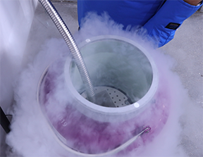 liquid nitrogen dewar