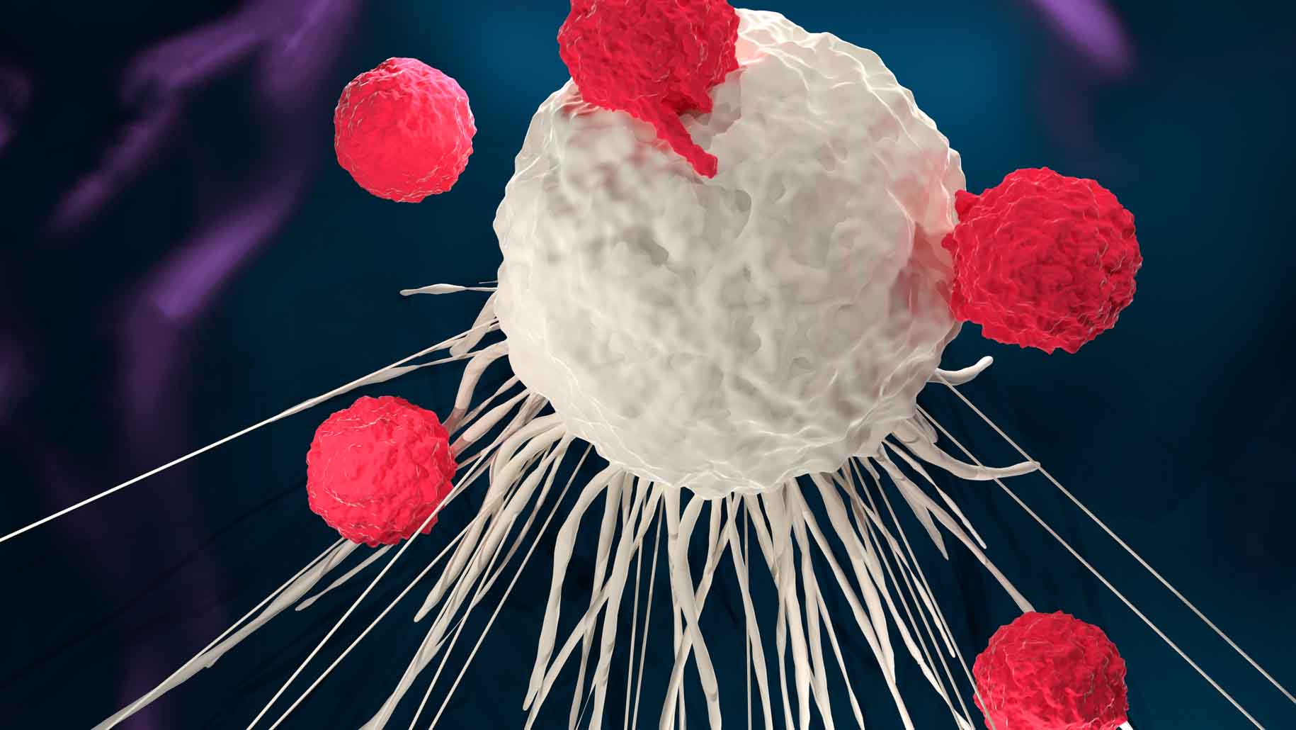 3D illustration of T cells attacking a cancer cell (CAR-T cell therapy)