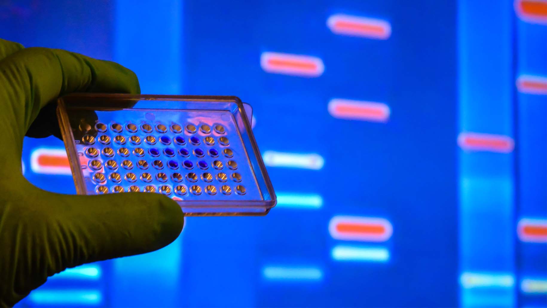 DNA testing in a scientific laboratory. Genome research using modern biotechnology methods.