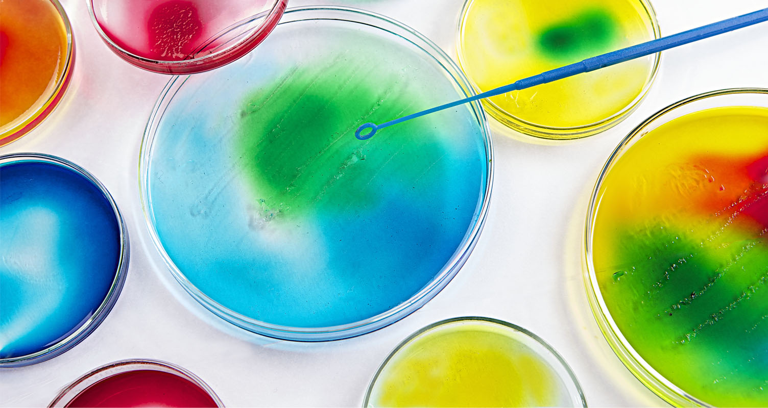 Microbiology - seeding petri dishes