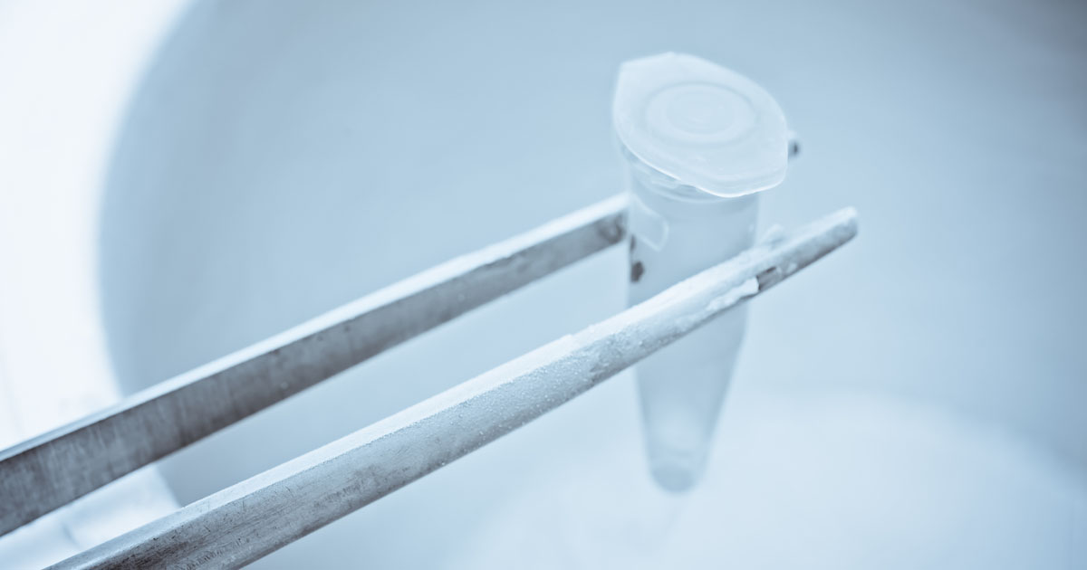 Mastering the Full Spectrum of Temperature-Controlled Pharma Logistics
