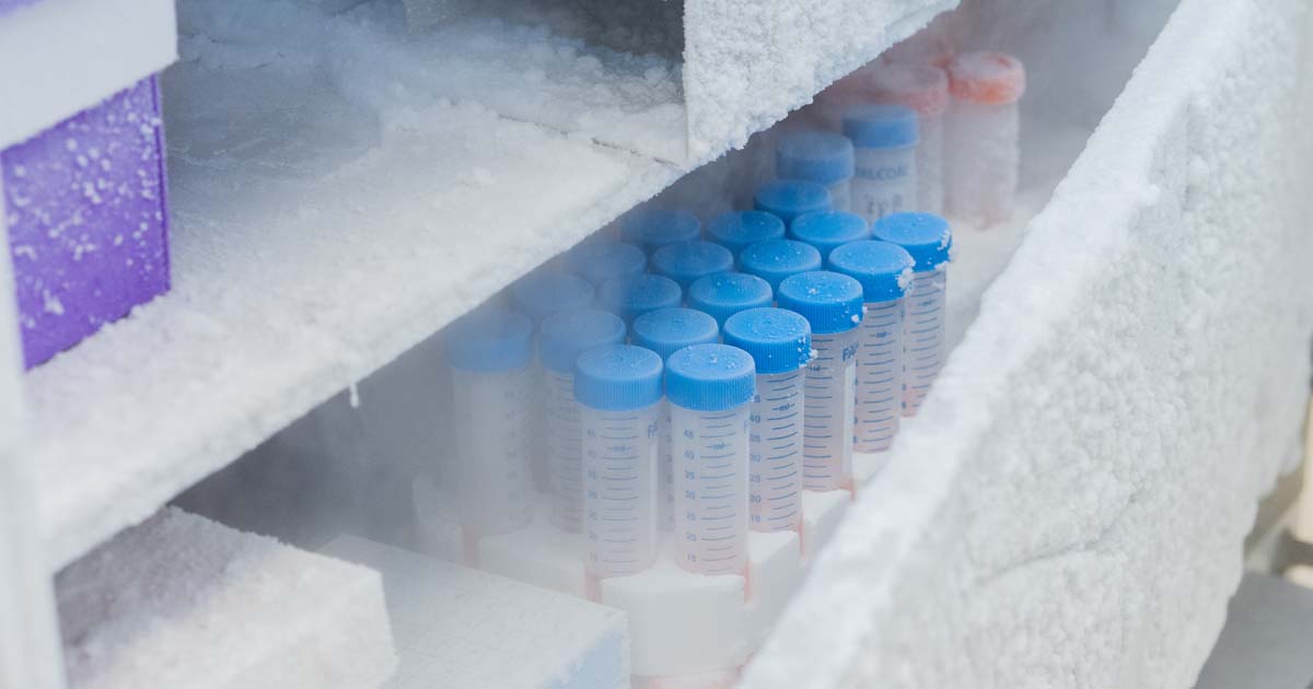 Cryogenic Supply Chains for Cell & Gene Therapy