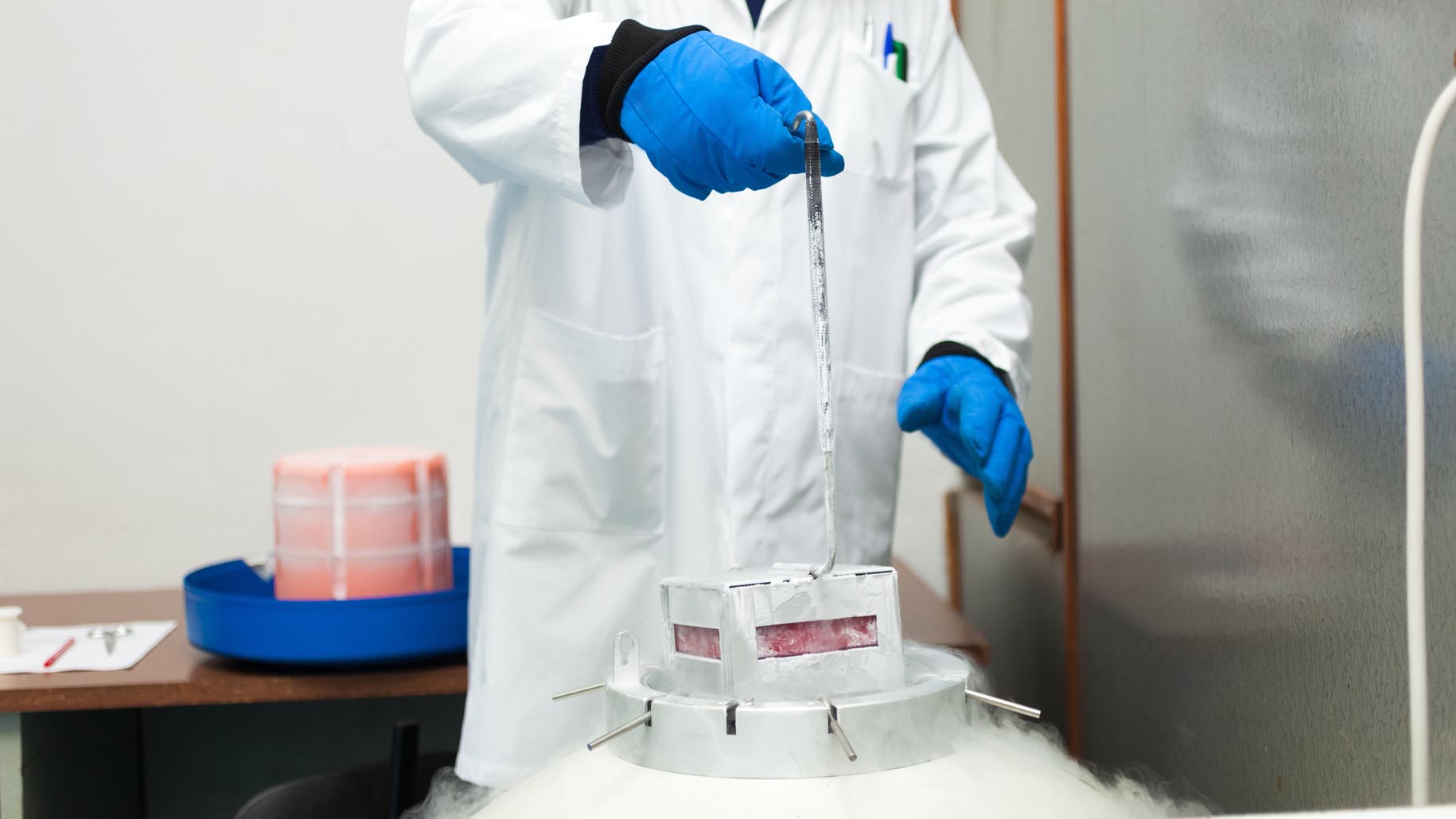 Scientist taking samples from a cryogenic nitrogen container in a science research lab