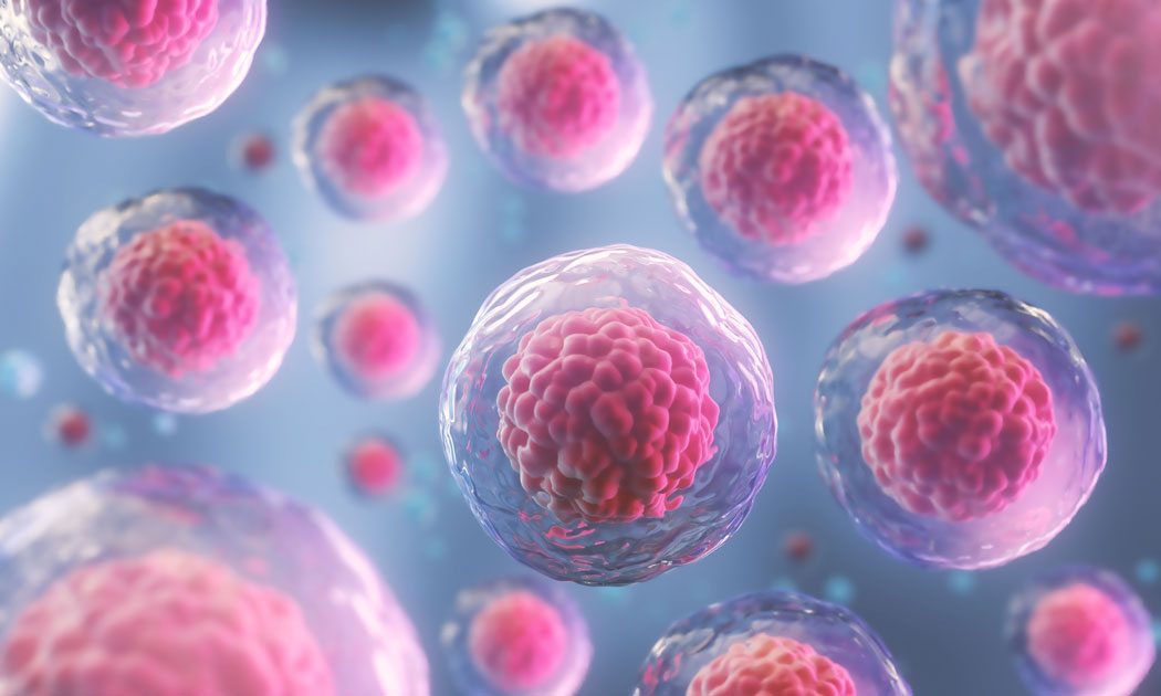 stem-cell